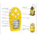官宣加拿大BW-M5多气体检测仪