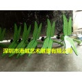 彩绘玻璃钢蜻蜓雕塑落户湖南郴州