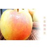 日本水蜜桃苹果报价