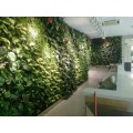 长沙定制室内外大小型植物墙真花仿真花设计施工找植来植趣