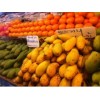 青岛值得推荐的泰国芒果供应进口报关公司