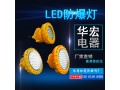 BAD808-I LED防爆灯 30W 高效节能LED灯