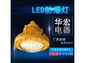 CYBT5600 防爆 LED灯高效节能LED防爆灯