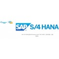 SAP S/4 HANA视音频显控行业解决方案 ERP供应商