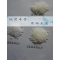 埃克森美孚MAH PO1020接枝PP树脂 抗开裂助剂