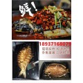 重庆市长寿区供应诸葛烤鱼店专用烤箱   商用电烤鱼箱价格