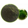 小球藻粉10:1多种规格厂家包邮