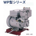 供应日本岩谷水泵40CLS604，25CJT0402
