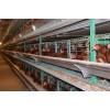 鸡笼厂供应层叠式鸡笼全自动阶梯鸡笼设备