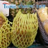 菠萝、凤梨、芒果、椰果网套机械