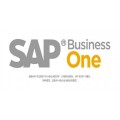 塑胶行业ERP系统 SAP Business One软件