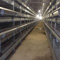 中州鸡笼厂供应立式层叠蛋鸡笼