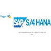 SAP S4系统 SAP HANA系统 选择HANA实施商