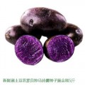 贵州黑土豆多少钱一斤