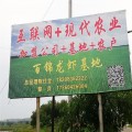 乐山龙虾苗基地在哪里