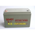 西力蓄电池NP100-12德国SEHEY铅酸电池
