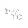 莨菪碱 Hyoscyamine 单体101-31-5