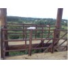 多年专注仿木栏杆生产水泥仿木栏杆产品质量过硬