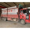 供应10吨饲料运输车厂家_优质装15吨散装饲料罐价格