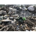 上海工业废弃物处置专业公司，上海工业固废垃圾清运处理