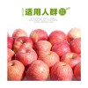 洛川苹果多钱一斤