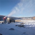 建设小型滑雪场需要多少钱 品牌人工造雪机出雪量