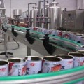 刺梨汁饮料生产设备厂家价格