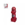 佰隆XBD-DL型立式多级消防泵_佰隆水泵