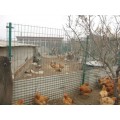 天门市养殖小动物钢丝围栏网定制小孔护栏网实体生产厂家龙泰百川