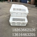 组装式塑料鸡筐 塑料活禽运输笼 辽宁塑料鸡筐