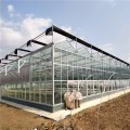 连栋阳光板温室 阳光板温室设计 温室施工 温室大棚