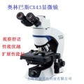 OLYMPUS荧光显微镜CX43