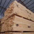 高效木材除霉剂MF-4