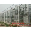 单体玻璃温室 蔬菜温室大棚 养殖玻璃温室大棚 加工定制