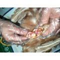 鸡滑液囊支原体复发原因及治愈用药支囊净方案