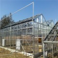 阳光板温室承建|玻璃温室造价|金坤|承包温室工程