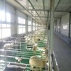 批发羊用漏粪板 建设高架羊床养殖 养羊漏粪格栅规格