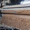 供应潮州饶平县带式淤泥压滤机 环保洗沙泥浆处理设备定制