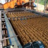 供应揭阳市榕城区小型1.5米泥浆压滤机 带式淤泥脱水设备价格