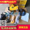 KA1型气动葫芦 KA1S-025气动葫芦KA1型现货