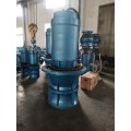 大功率立式轴流泵防涝泵站改造替代潜水泵