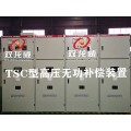 TSC高压并联电容器装置 TSC补偿柜