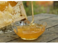 蜂蜜蜂皇浆蜂花粉能一起吃吗?花粉蜂蜜蜂王浆比例