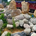 泰山石假山石大量现货英德厂家与供应园林景观风景石