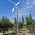 西部地区专用风力发电机免维护方便安装环保耐用