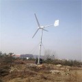山东小型风力发电机_蓝润厂家直销价位低_支持各种规格定做