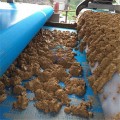 环保洗沙泥浆干排设备 定制带式淤泥压泥机