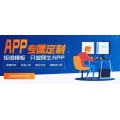 APP开发_软件外包_小程序开发临沂开发公司