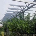 广东晶天太阳能光伏板300W瓦72片林光互补太阳能电池组件
