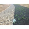 黑色网垫增加地湿-加筋麦克垫促进种籽发芽